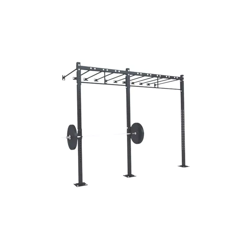 Cage Murale C7 | Cross-Training et Musculation