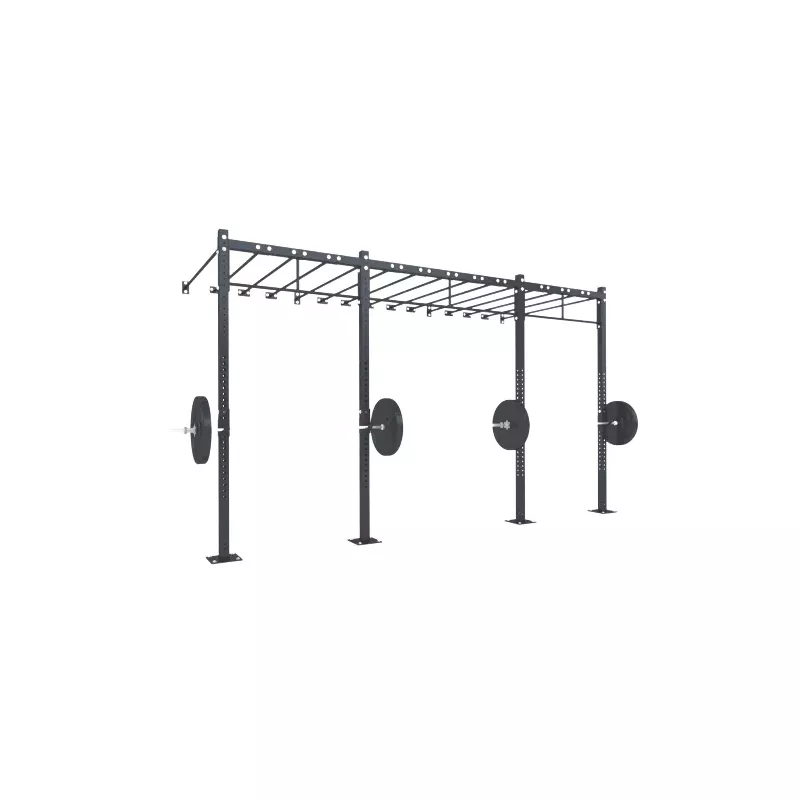 Cage Murale D8 | Cross-Training et Musculation