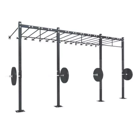 Cage Murale D8 | Cross-Training et Musculation