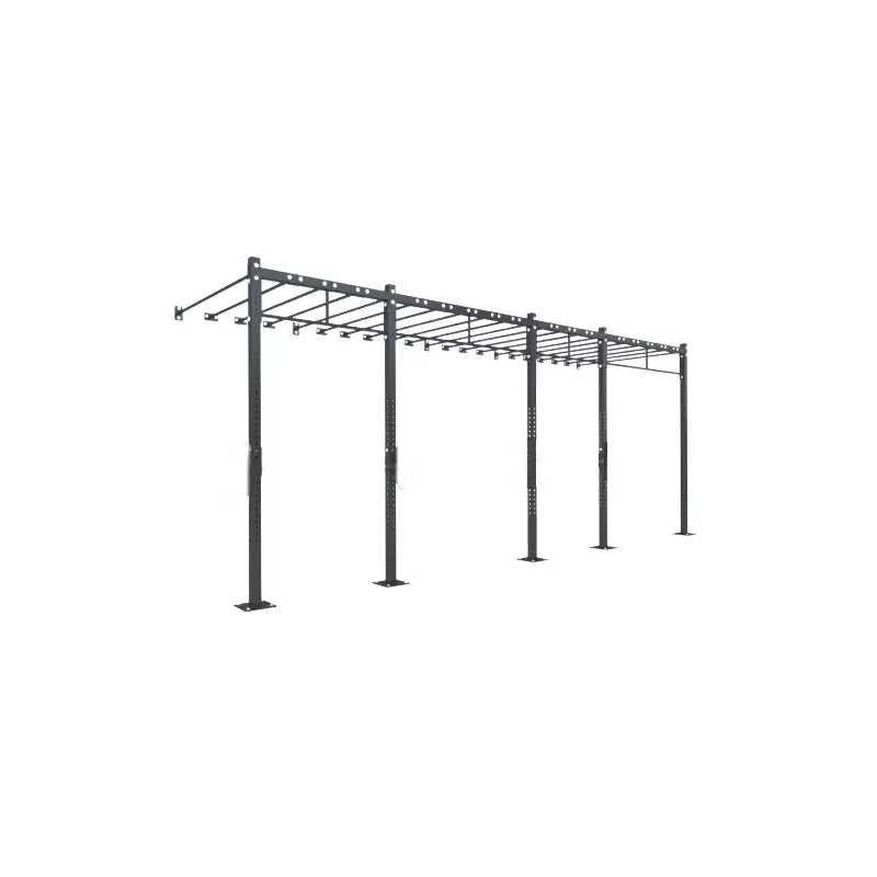 Cage Murale D9 | Cross-Training et Musculation