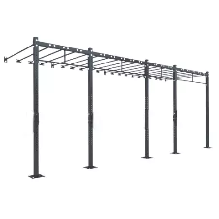 Cage Murale D9 | Cross-Training et Musculation