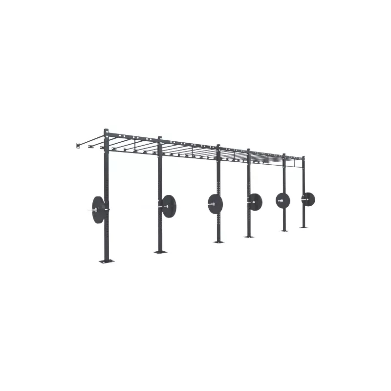Cage Murale D10 | Cross-Training et Musculation