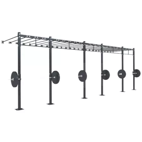 Cage Murale D10 | Cross-Training et Musculation