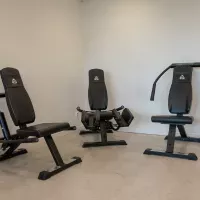 Circuit training